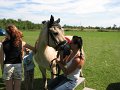 IMG_2422