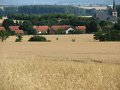 IMG_0917