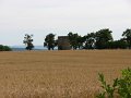 IMG_0919