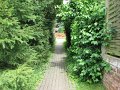 IMG_0984