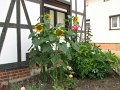 IMG_0998