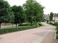 IMG_1000