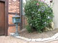 IMG_1001