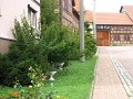 IMG_1007