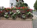 IMG_1029