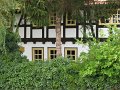 IMG_1051