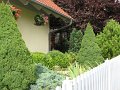 IMG_1062