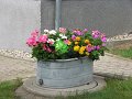 IMG_1066