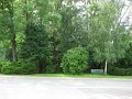 IMG_1075