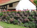 IMG_1082