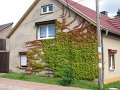 IMG_1085