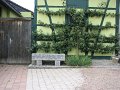 IMG_1092