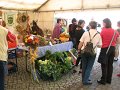 IMG_4623