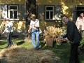 IMG_4633