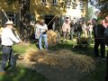 IMG_4634