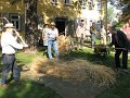 IMG_4635