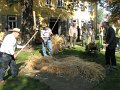 IMG_4639