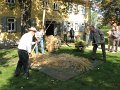 IMG_4645