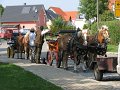 IMG_4741