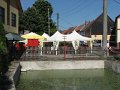 IMG_7002