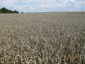 IMG_0828