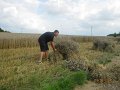 IMG_0846