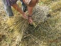 IMG_0853