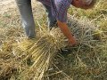 IMG_0854