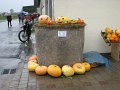 IMG_3426
