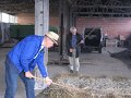 IMG_3439