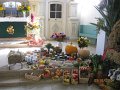 IMG_0024