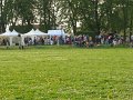 IMG_0315