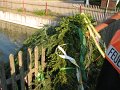 IMG_0513