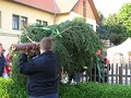 IMG_0520
