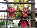 IMG_0547