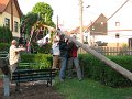 IMG_0560