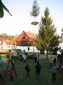 IMG_0565