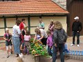 IMG_5364