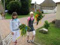 IMG_5395