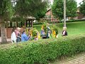 IMG_5397