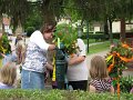 IMG_5398