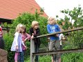 IMG_5427