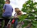IMG_5428