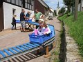 IMG_5446