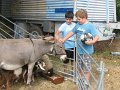 IMG_7742