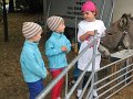 IMG_7850