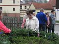 IMG_1352