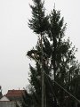 IMG_1381