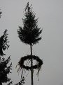 IMG_1387