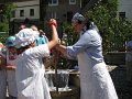 IMG_2494